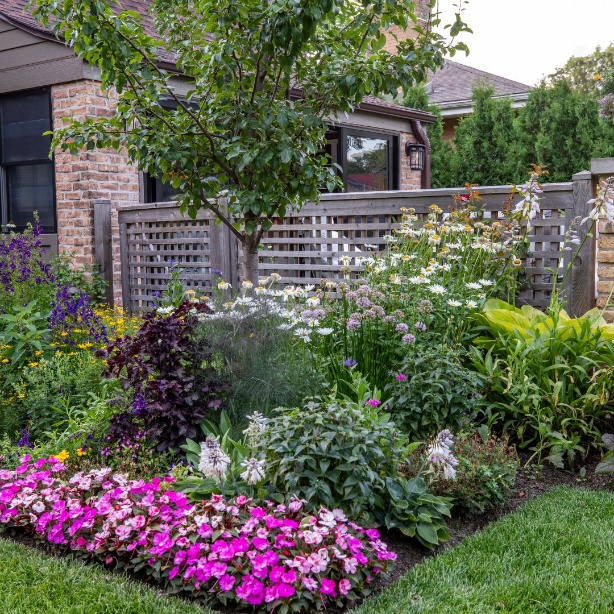 Spring garden in bloom with mulch beds and emerging perennials.