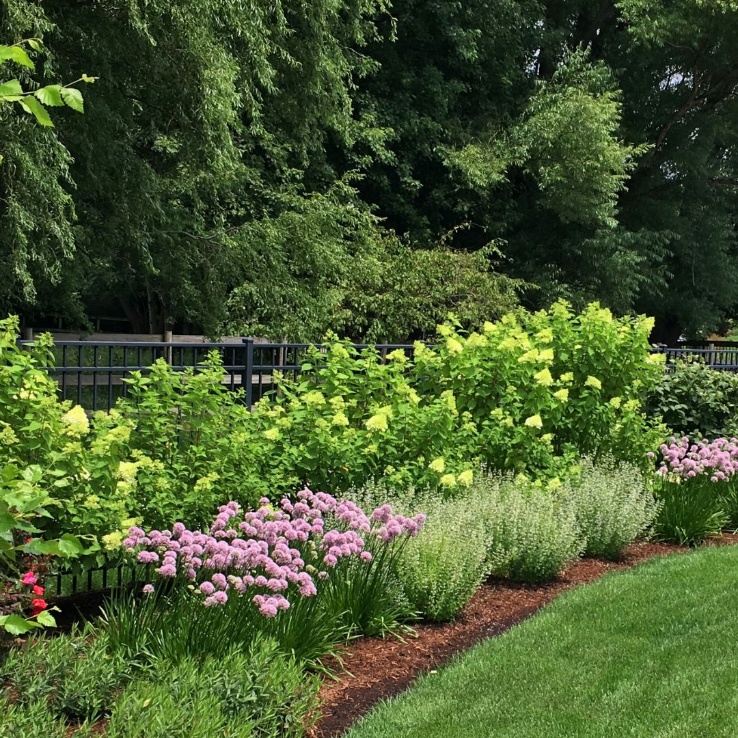 Freshly mulched garden bed with deep edging defining sharp, architectural lines around plantings.