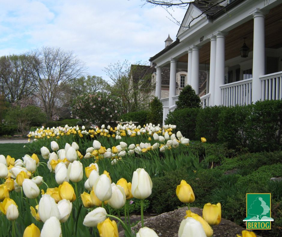 A spring landscape signaling the shift from winter to warmer days.