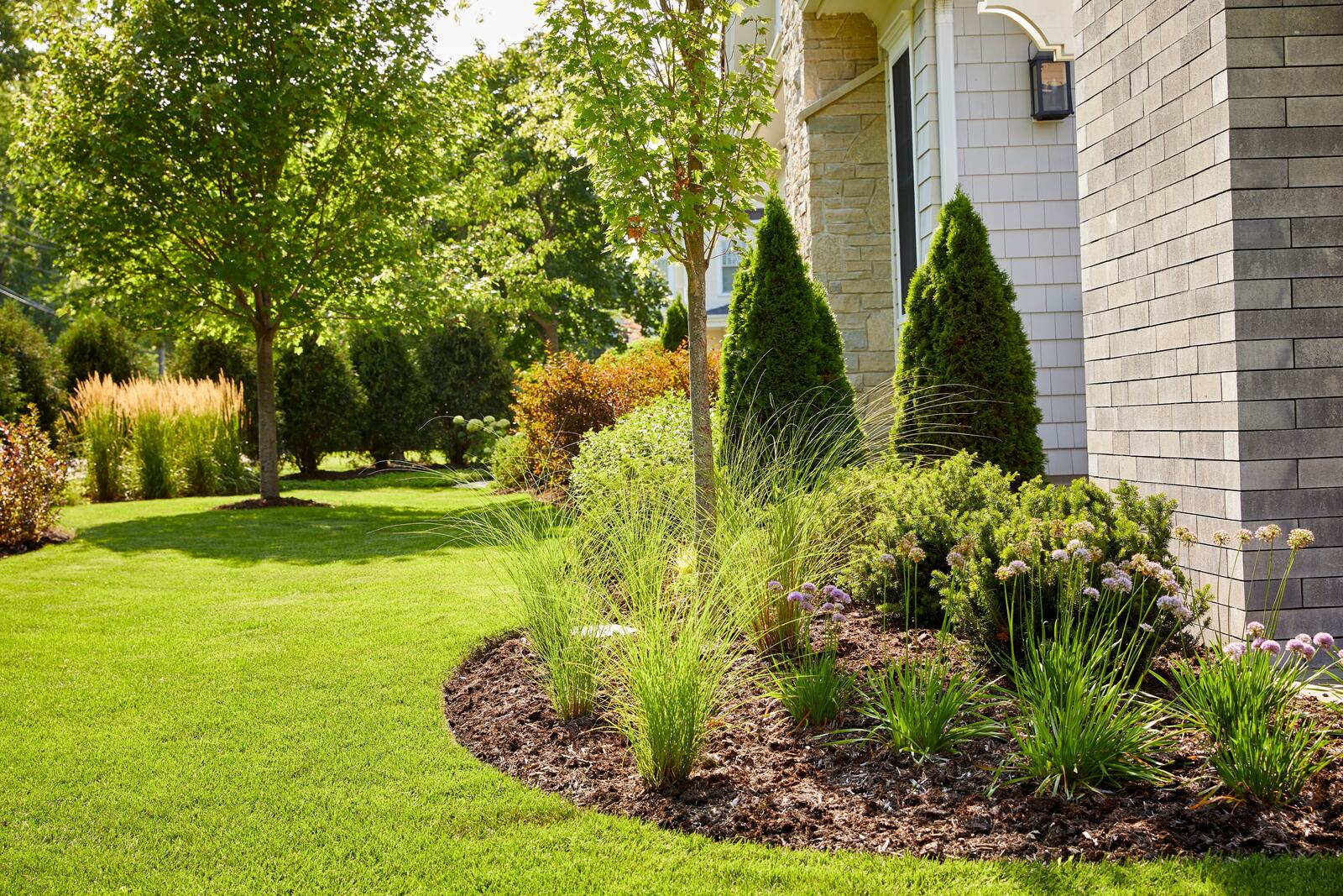 healthy turf maintained by a lawn fertilization service in Downers Grove, IL